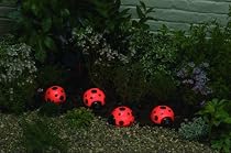 Smart Solar/Smart Solar 3656MRM4 Ladybug Solar Light Set. 4 pack. Red
