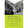 Public Power, Private Dams: The Hells Canyon High Dam Controversy (Weyerhaeuser Environmental Books)