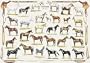 Horses Poster (#45) [Toy] Poster Print, 39x27 Poster Print, 39x27 Poster Print, 39x27