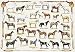 Horses Poster (#45)