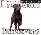 Chocolate Labrador Retrievers 2005 Calendar