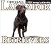 Chocolate Labrador Retrievers 2005 Boxed Calendar