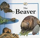 The Beaver (Crewe, Sabrina. Life Cycles.)