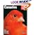Canaries (Complete Pet Owner's Manual)