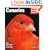 Canaries (Complete Pet Owner's Manual)
