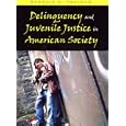 Delinquency and Juvenile Justice in American Society by Randall G. Shelden