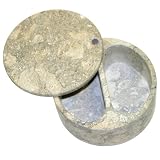 Salt Box - Fossil