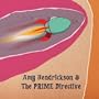 Amy Hendrickson & the Prime Directive [Explicit]