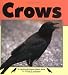 Book Crows (Nature Watch)