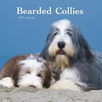 Bearded Collies 2007 Calendar