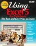 Using Excel 5 for Windows (The User-Friendly Reference)