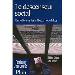 Le descenseur social : Enqu�te sur les milieux populaires