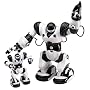 WowWee Robosapien with Mini Robo