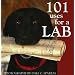 101 Uses for a Lab