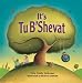 Book cover of It's Tu B'shevat (Very First Board Books).