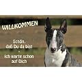 Fu�matte, Fu�abtreter Bull Terrier, Bullterrier