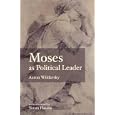 Moses as Political Leader by  Aaron Wildavsky and Yoram Hazony