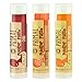 Primal Pucker Paste 3-Pack Natural Lip Balm with Beeswax and Shea Butter - Vanilla Peppermint, Orange Creamsicle and Chai