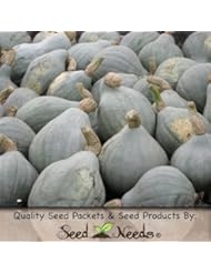 Lawn & Patio: 20 Seeds, Winter Squash "Blue Hubbard" (Cucurbita pepo) Seeds by Seed Needs - Seed Needs