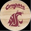 Thirstystone Natural Sandstone Set of 4 Coasters Washington State