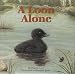 A Loon Alone