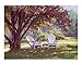 Blossom Shower Scenic RePoster Print Poster by L Diane Johnson, 10x8