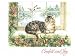 Maine Coon Cat Christmas Card "Winter Snooze"