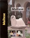 Maltese