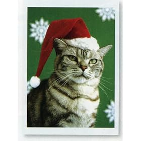 Pet Lovers Holiday Christmas Greetings Cards - Tabby Santa Cat - Set of 18