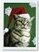Pet Lovers Holiday Christmas Greetings Cards - Tabby Santa Cat - Set of 18