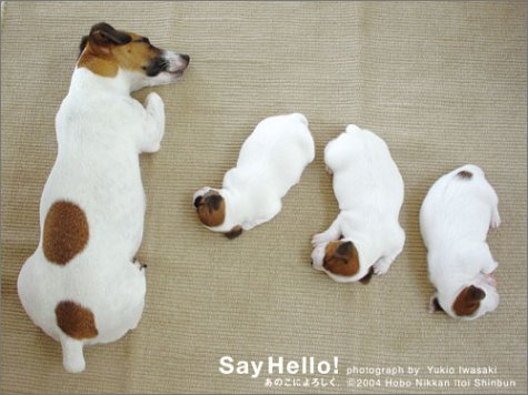 Cover image : Say Hello！ あのこによろしく。 (ほぼ日ブックス)