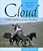Cloud: Wild Stallion of the Rockies