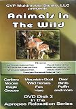 DVD Animals in the Wild - Part 2 - Apropos Relaxation Series DVD Disk 3 code image