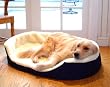 Small 23x18 Lounger Dog Pet Bed - Blue