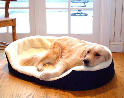 Childrens Toyshop  Pet Supplies : Large 36x24 Lounger Dog Pet Bed - Blue