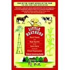 Click here to buy Little Heathens: Hard Times and High Spirits on an Iowa Farm During the Great Depression by Mildred Armstrong Kalish.