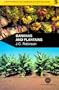 Bananas and Plantains (Crop Production Science in Horticulture)