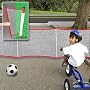 EXTENDABLE DRIVE WAY FENCE