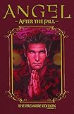Angel. After the fall