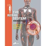 the renal system systems of the body series 1e