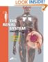 The Renal System