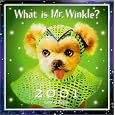 What is Mr. Winkle?