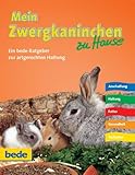Mein Zwergkaninchen zu Hause - Stephan Dreyer