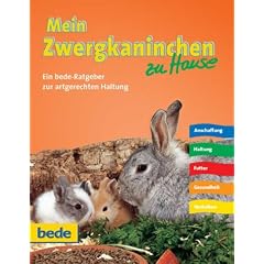 Mein Zwergkaninchen zu Hause