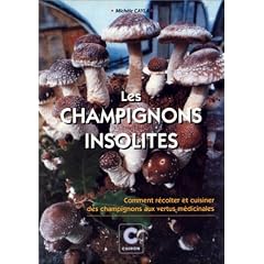 Les Champignons Insolites