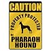 CAUTION  PROPERTY PROTECTED BY PHARAOH HOUND  PARKING SIGN DOG