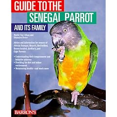Guide to the Senegal Parrot