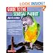 Guide to the Senegal Parrot and Its Family