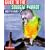 Guide to the Senegal Parrot