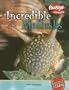 Incredible Mollusks (Freestyle Express: Incredible Creatures)